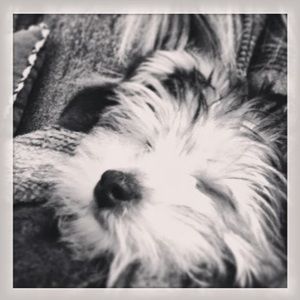 Meet your Posher, Grace